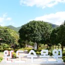 완도수목원 이미지