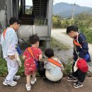 석곡초등학교 이미지