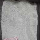 [내돈내산] 먼지없는 고양이 모래 페스룸 모래 ‘더스트 프리 벤토나이트’ 콩이의 리얼 사용 후기!