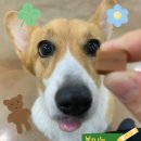 먹보 - 아산시 | 먹보