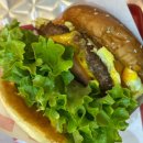 왓더버거 속초점 이미지