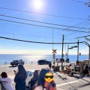[가마쿠라여행] #8 후지산이 보고 싶어서. (에노시마, 가마쿠라 일몰)