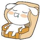 본가발 이미지
