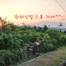 제주지인 게스트하우스 이미지