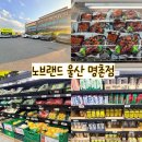 울산 명촌 노브랜드 다녀온 후기 울산 북구 명촌 노브랜드 주차장 노브랜드 추천