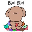 이프로또 이미지