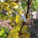 사봉농장 이미지