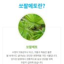 오쏠 | 🌿 남성 활력의 중심, 애터미 오쏠팔매토
