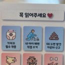 멍프탑 이미지