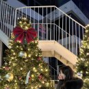 주흥길 10 이미지