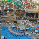 아쿠아가든팜카페 | 인스파이어 리조트 아이와 아기랑 가기 좋은 인천호텔