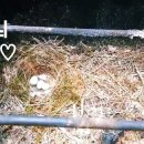 어머멍 이미지