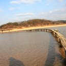 영주 무섬마을 이미지