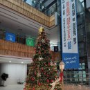 소리꾼 | 2025년 광명시 시민홍보 서포터즈 성과공유회 후기 소리꾼 고예지 공연 관람