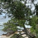 하늘빛민박 이미지