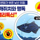 푸른미래건강식품센터 이미지