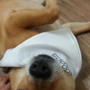 밍구네일 이미지