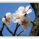 상동공원 이미지