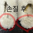 예스세탁 이미지