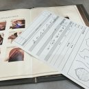 푸잉아로마 | [분당/판교] 나에게 딱 맞는 판교 두피 탈모 관리 '모디슨 판교본점' 두피 진단 프리미엄 케어 후기