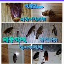 일광ZONE 이미지