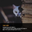 (주)펫찐