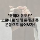 경희대유도관 이미지