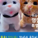 새봄인쇄사 이미지