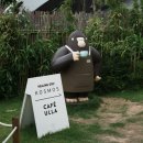 울릉KOSMOS 이미지