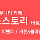 스타일윈도우