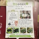 강원도 화암동굴 맛집 &#39;정선수리취떡&#39;을 택배로 만나보기(인절미/찹쌀떡) 쫀득함이 대박