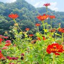 밥짓는행복 이미지