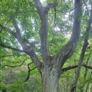 부귀산주차장 | 금남호남정맥(활인동치-부귀산-오룡재-턱골봉-주화산-모래재)