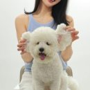 무무스튜디오 이미지