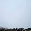 올데이 로얄포레 네이버블로그