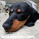 플랫폼몬스터 | [젠틀몬스터] 하우스 노웨어 서울 성수 후기ㅣ탬버린즈,어티슈,누플랏,누데이크 티 하우스