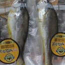 남진수산 이미지