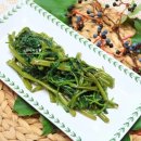 모닝글로리 이미지