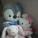 친구야 뽑기하자 이미지