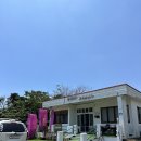 제주 여름휴가 서귀포ㅣ서브포인트 표선 서핑, 제주 서핑강습 꿀잼 (내돈내산)