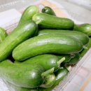우성2농장 이미지