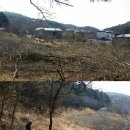 돌담농장 이미지