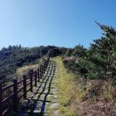 [울산트레킹클럽] 8월29일(토)~30일(일) 거문도 백도 인어섬 등대 1박2일 환상의섬 트레킹 이미지
