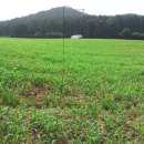 마금목장 이미지