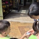 가원유치원 이미지