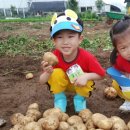 석천농장 이미지