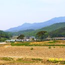 무을초교 이미지