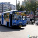 간선-41 이미지
