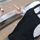 찐 하루살이 이미지
