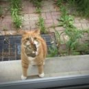 온마음 동물메디컬센터 이미지